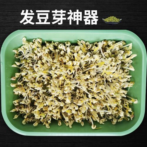 新款发豆芽神器快速发豆芽家用种植豆芽盆豆芽机发芽W机种菜专用
