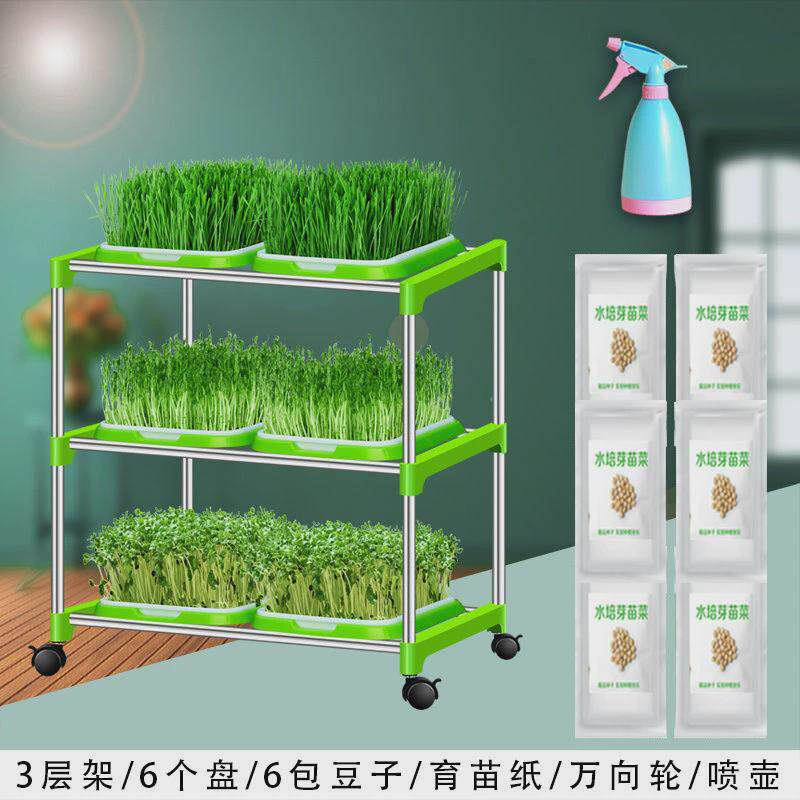 芽苗菜育苗盘无土栽培盘豌豆苗豆芽种植网格家用V加深加密盆架子