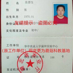 极速蜜环菌菌种母种天麻种萌发z菌菌种天汉4号石斛小菇一级种原种