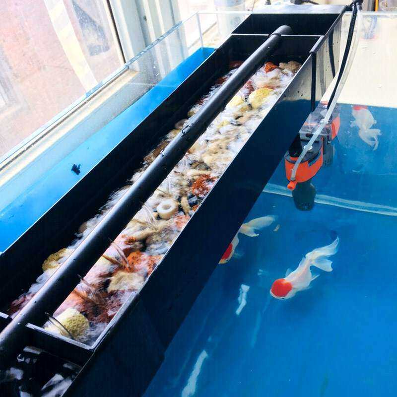 新品自制下水培鱼乌龟顶部过滤盒过滤棉净水器整体鱼W缸水槽设备