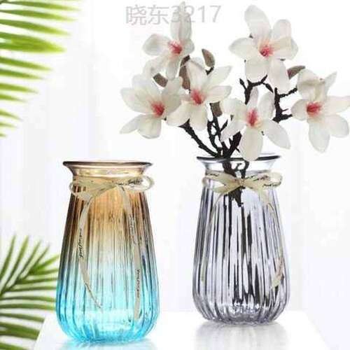新品小嘴花瓶玻璃花瓶窄口大x肚装饰家用加深阳台小号家居容器结