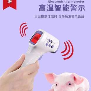 极速兽用体温枪猪用n牛羊马测温仪红外线高精度充电款体温计猫咪