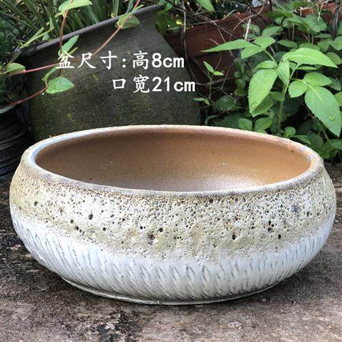 新品多肉植物花盆 个性创意花盆陶瓷多肉L组合花盆大口径拼盘花盆