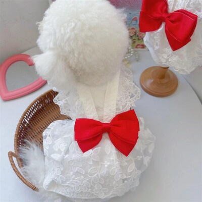 新品宠物衣服春夏新款婚纱蝴蝶结蕾丝礼服泰U迪比熊狗狗猫咪