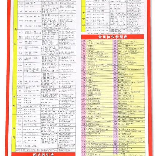 极速零基础学艾灸医学书籍人体穴位经络图纸大全辽法X教程养生家