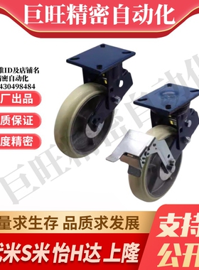 CFP30/CFP31/D100/D125/D150/D200/B-AT-AR--AS 怡合达减震胶轮