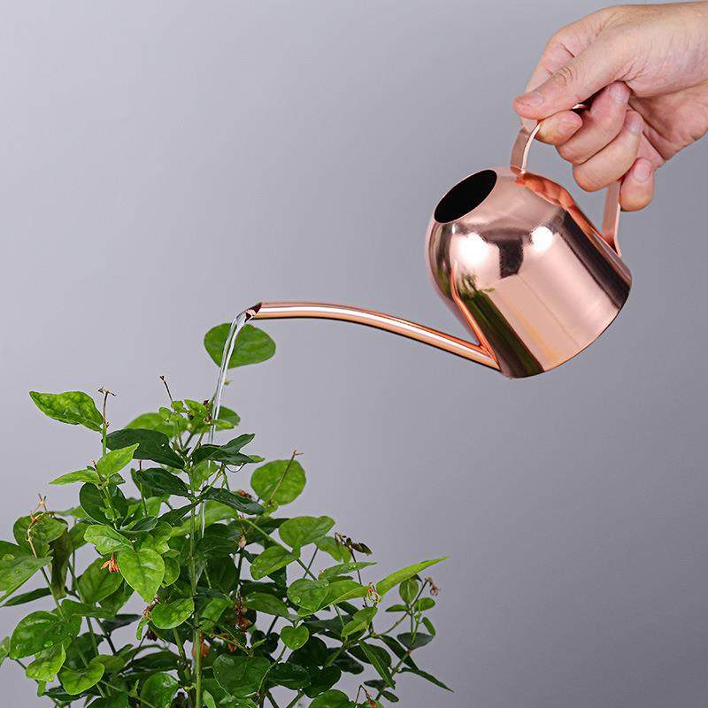不锈钢浇花水壶喷壶金色长嘴植物洒水壶室内小型淋花壶园艺500ML