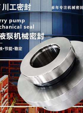 泵轴封 SLJY50-400CSLJY55-70S7DHDD2602-6浆液循环泵机械密封