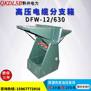 黔开户外高压10kv欧式电缆分支箱DFW-12/630A一进一二三四五出