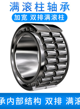 重载满滚柱圆柱滚子轴承NNCF/SL185004 5005 5006 5007 5008 5009