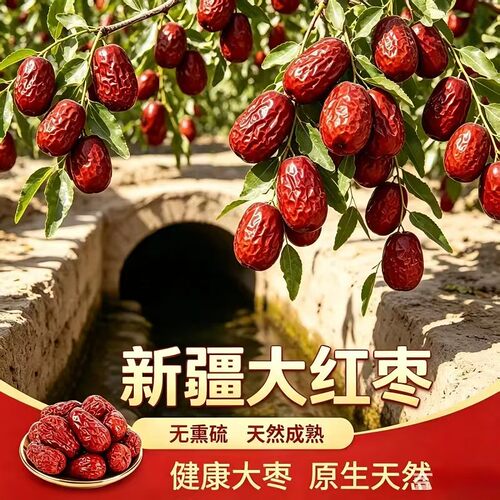 新疆新货优质大红枣泡水煲汤