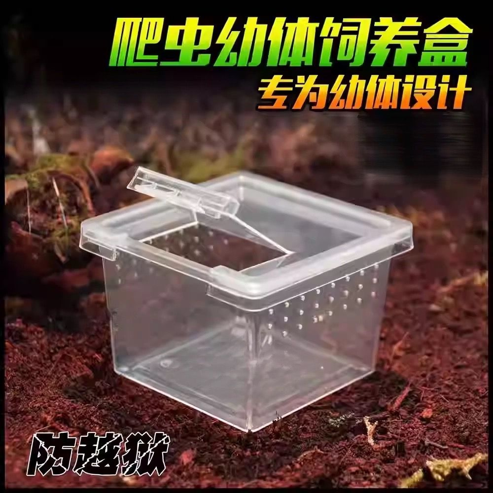 小方盒爬宠饲养盒蜘蛛守宫盒蜥蜴蝎子蜈蚣角蛙壁虎甲虫昆虫打包盒