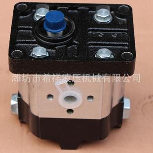 08十字扁键恒流泵 厂家销售各种小型齿轮泵 不锈钢齿轮油泵