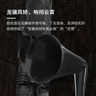 ESD隐士音响超级龙吟全励磁全号角五路主动分频音环绕立体声