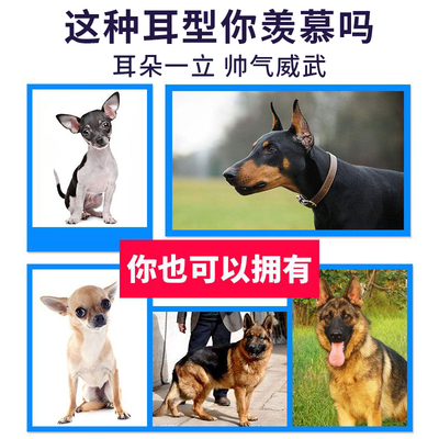 极速狗狗立耳神器杜宾犬德牧柯基狼狗G幼犬折耳朵通用立耳贴竖耳