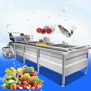 旭众气泡洗果机商用清洗土豆瓜果海带海产清洗大型自动蔬菜洗菜机