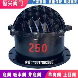 X2底阀 DN50单向阀H4 20法兰150 水泵 0阀8 止回阀 60铸铁10底