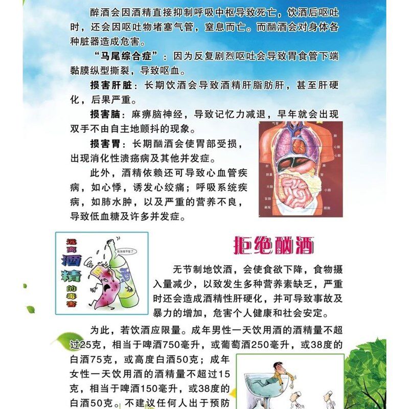 饮酒对身体各种脏器造成危害海报展板几招降低喝酒伤害墙贴墙纸