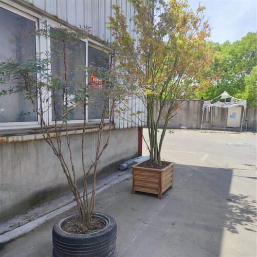 铝合金花箱高跟鞋垃圾桶花架 组合六角花坛户外绿化园林景观