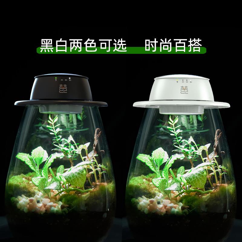 充电式植物补光灯微景观生态瓶苔藓缸仿太阳全光谱LED生长灯