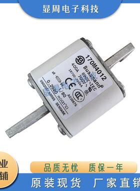 熔断器170M4059 4060 4061 4062 4063 4064 4065 4066 4067 4068