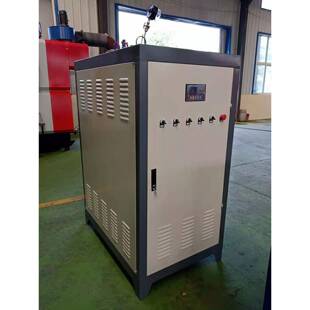 电蒸汽发生器小型全自动干洗电加热蒸汽发生器家用取暖电锅炉