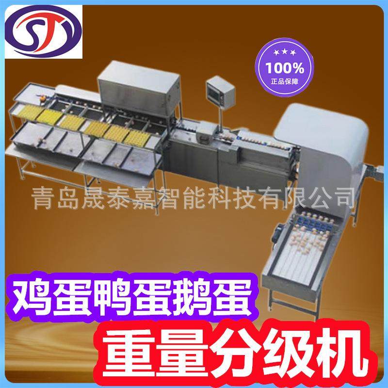全自动选蛋机鸡蛋重量分级机禽蛋称重分选机蛋类杀菌分拣秤,清洗/食品/商业设备,其他食品加工设备,淘宝优惠券,粉丝福利购,淘宝优惠卷