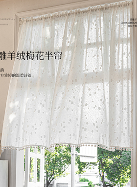 法式浮雕纱帘厨房餐厅半帘白色蕾丝成品窗帘卧室客厅短帘遮挡门帘