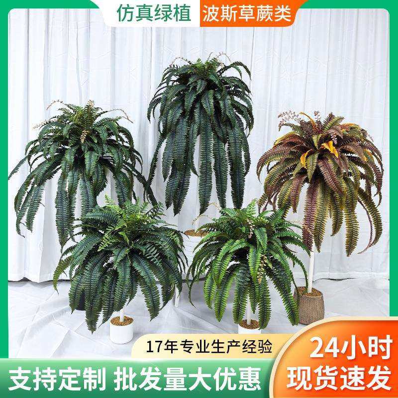 仿真绿植盆栽蕨类橱窗装饰造景仿真植物假绿植尖尾波斯草装饰摆件