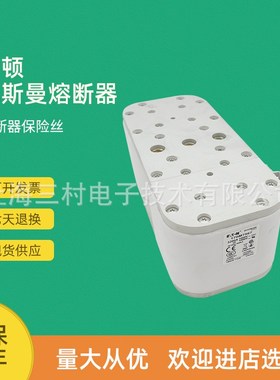 全新原装快速熔断器保险丝170M7567 170M7568 170M7569 170M7580