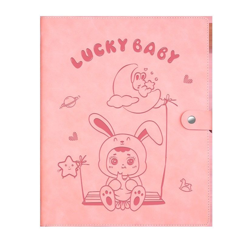 孕检收纳册产检记录册孕妇B超单子体检报告档案袋资料孕期收纳册