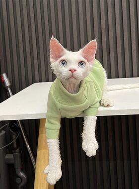 加绒加厚高领毛衣无毛猫衣服德文衣服斯芬克斯猫任发财