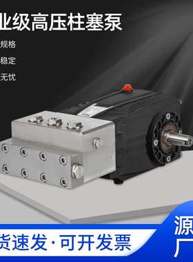 JPDS系列高压柱塞泵汽油清洗机高压泵喷淋工地降尘柱塞泵源头工厂