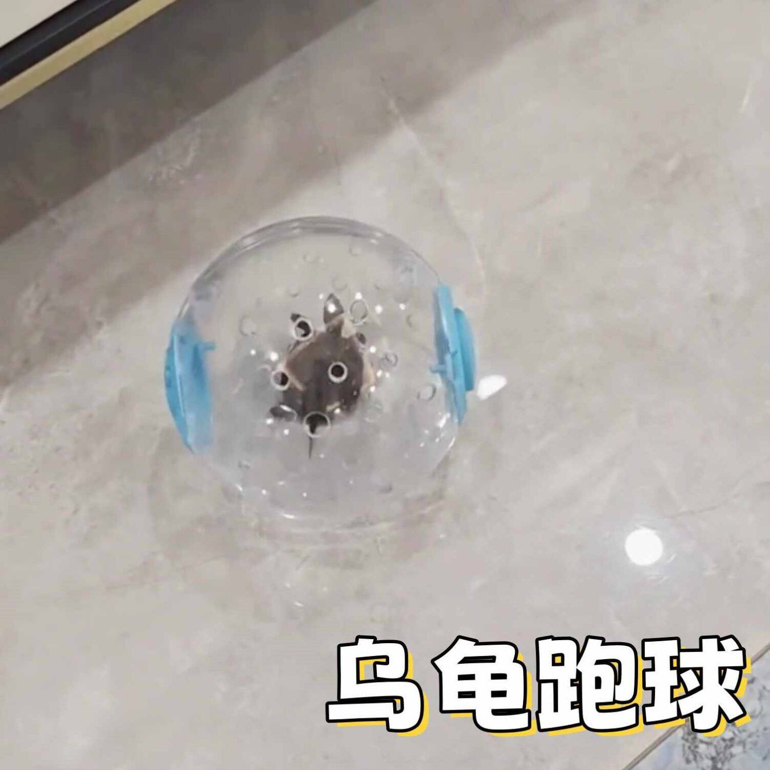乌龟专用玩具仓鼠跑球跑轮滚轮运动球支架松鼠用品遛鼠跑步球滚球