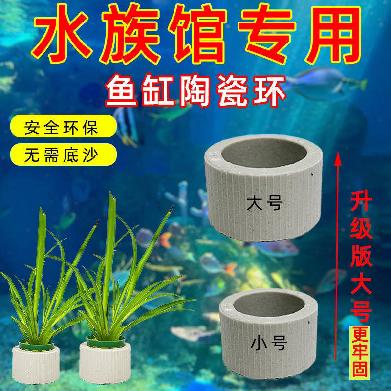水草定植环陶瓷环固定环沉环底座鱼缸水草种植固定器三件套造景