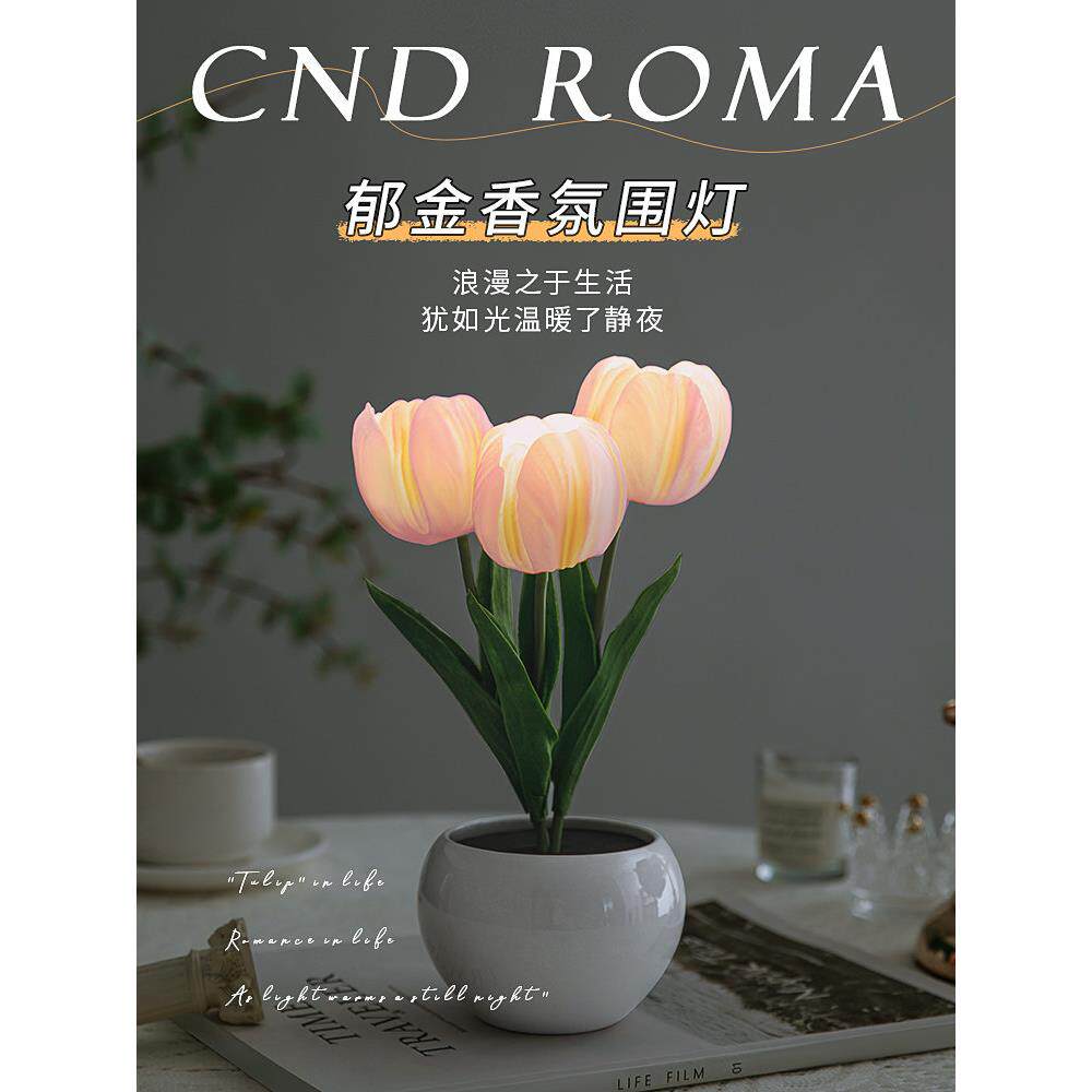 生日礼物女生闺蜜朋友实用的小夜灯郁金香花束氛围台灯七夕送女友