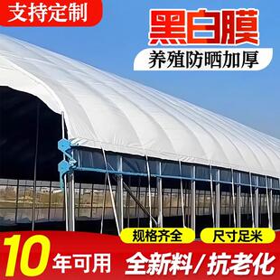 养殖大棚黑白膜防晒加厚隔热反光膜食用菌青储塑料膜防渗膜大棚膜