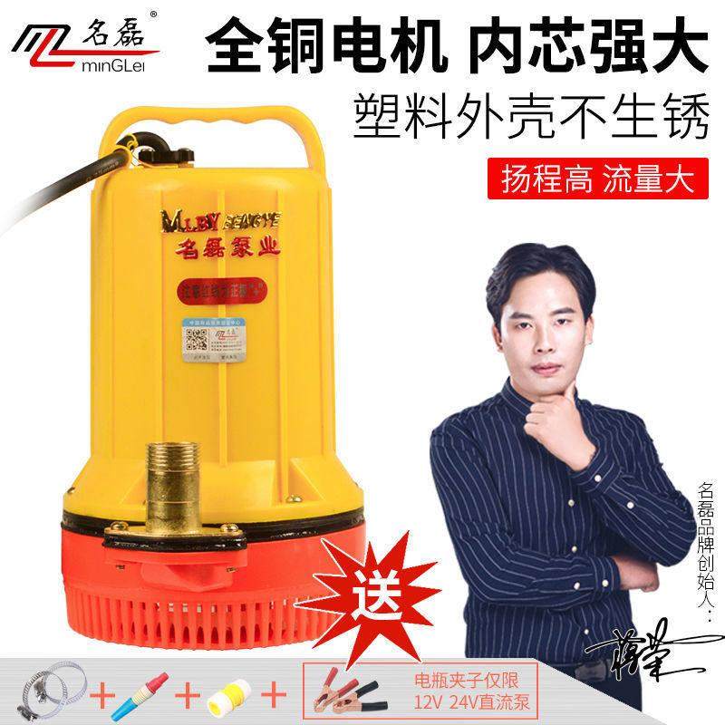 48V24V12V直流潜水泵 塑胶外壳电动车水泵 浇菜地灌溉抗旱抽水机,五金/工具,水泵,淘宝优惠券,粉丝福利购,淘宝优惠卷