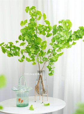 【云花甄选】绿色银杏叶鲜切枝室内绿植家居装饰水养小清新观赏花