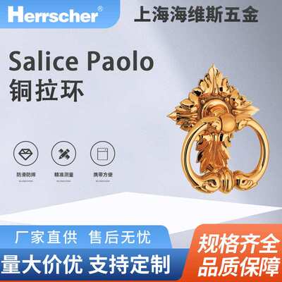意大利进口Salice Paolo铜拉环3120环保酒店住宅入户室内门把手