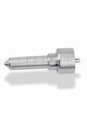 L381PBD L381PRD 喷油嘴适用德尔福共轨喷油器 EJBR05102ZD柴油车