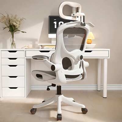 Ergonomic chair silla de oficina office chair 人体工学椅安吉