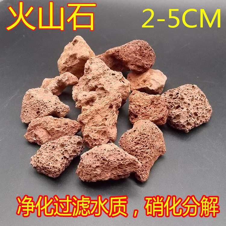 水族箱鱼缸过滤材料造景摆设火山石花罗汉增色增艳起头火山岩