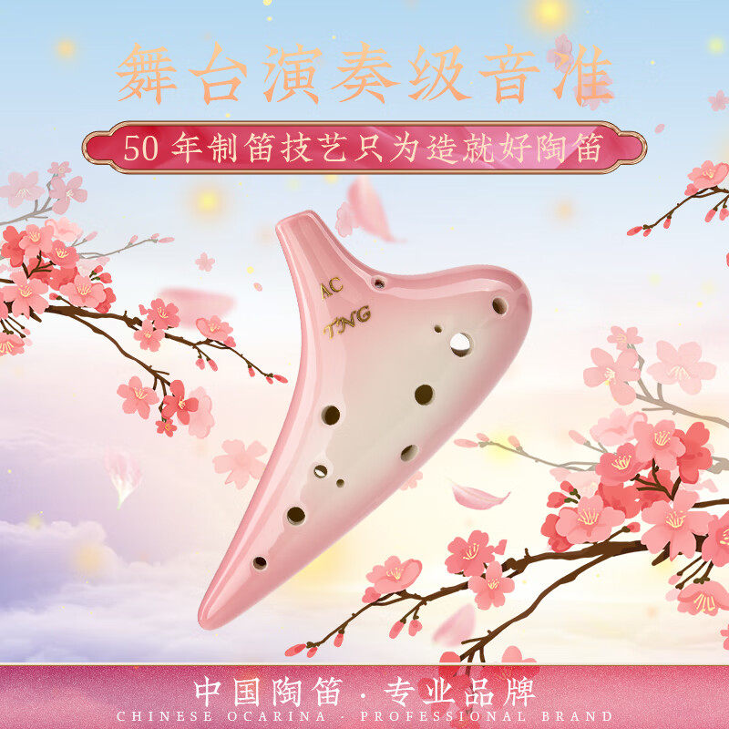 TNG陶笛12孔中音C调AC初学配教材你的银河十二孔AFSCSF专业演奏级