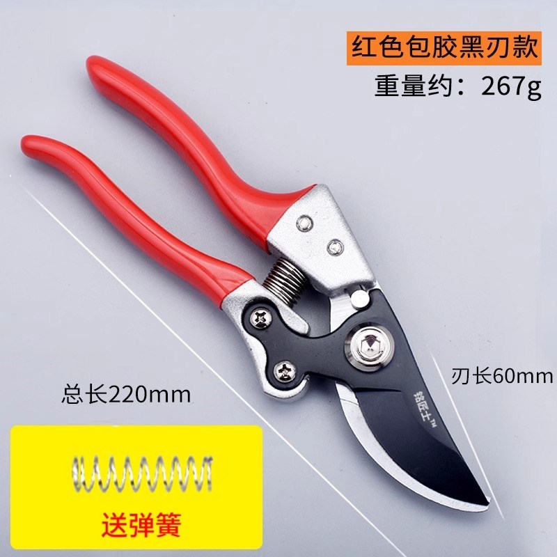 精工sk5果树j剪树枝剪刀粗枝花剪修枝剪家用园艺省力修花