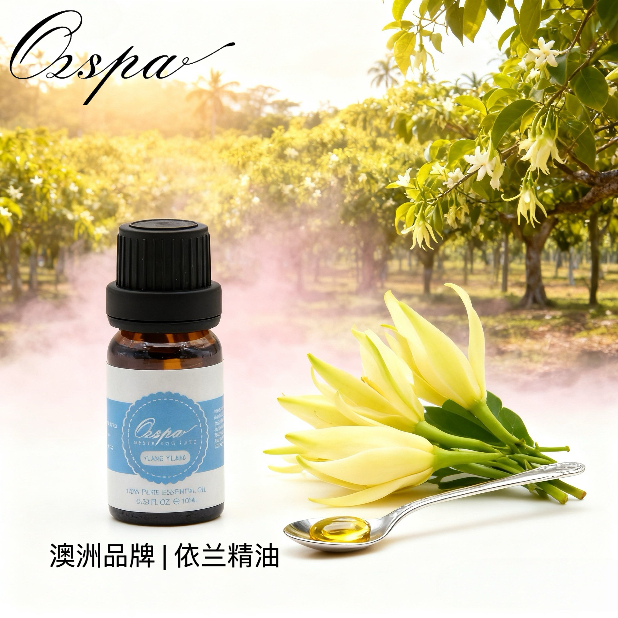 Ozspa依兰单方精油天然植物萃取