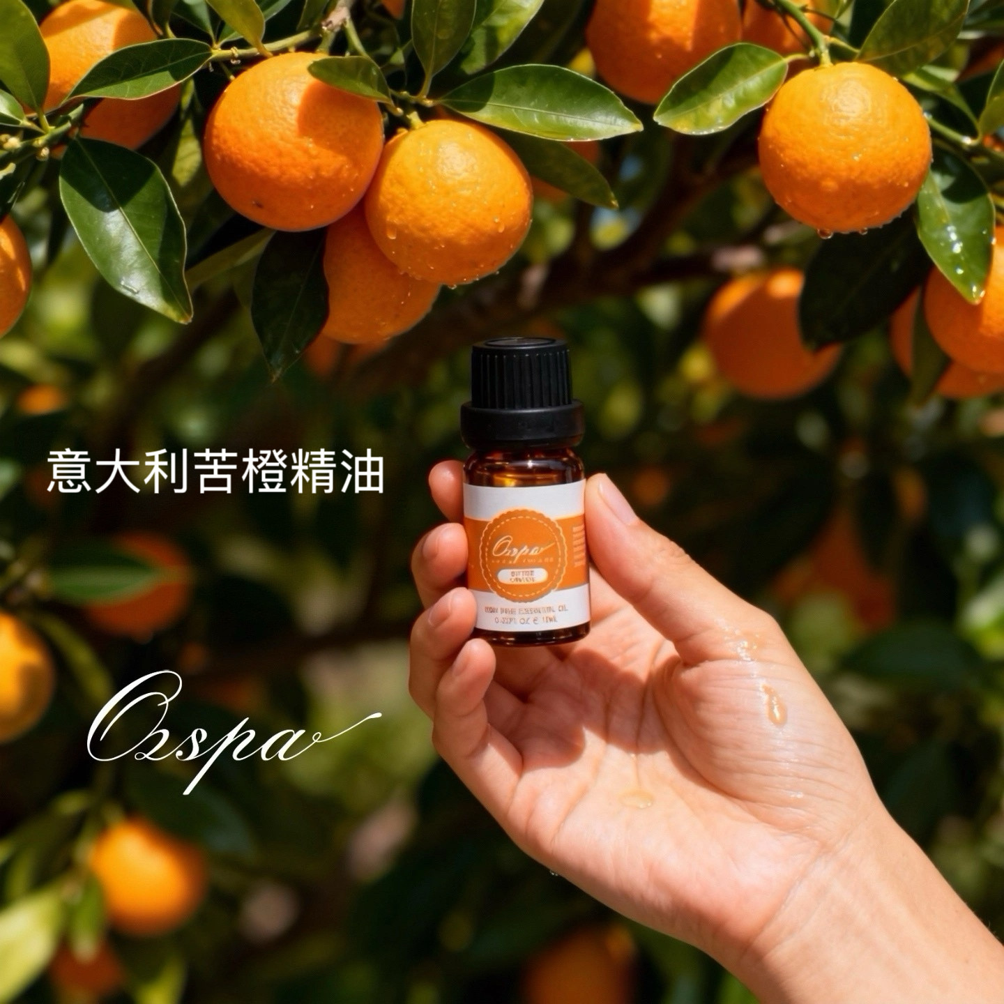 Ozspa意大利苦橙精油天然植物冷压萃取无添加芳疗香薰舒缓调香