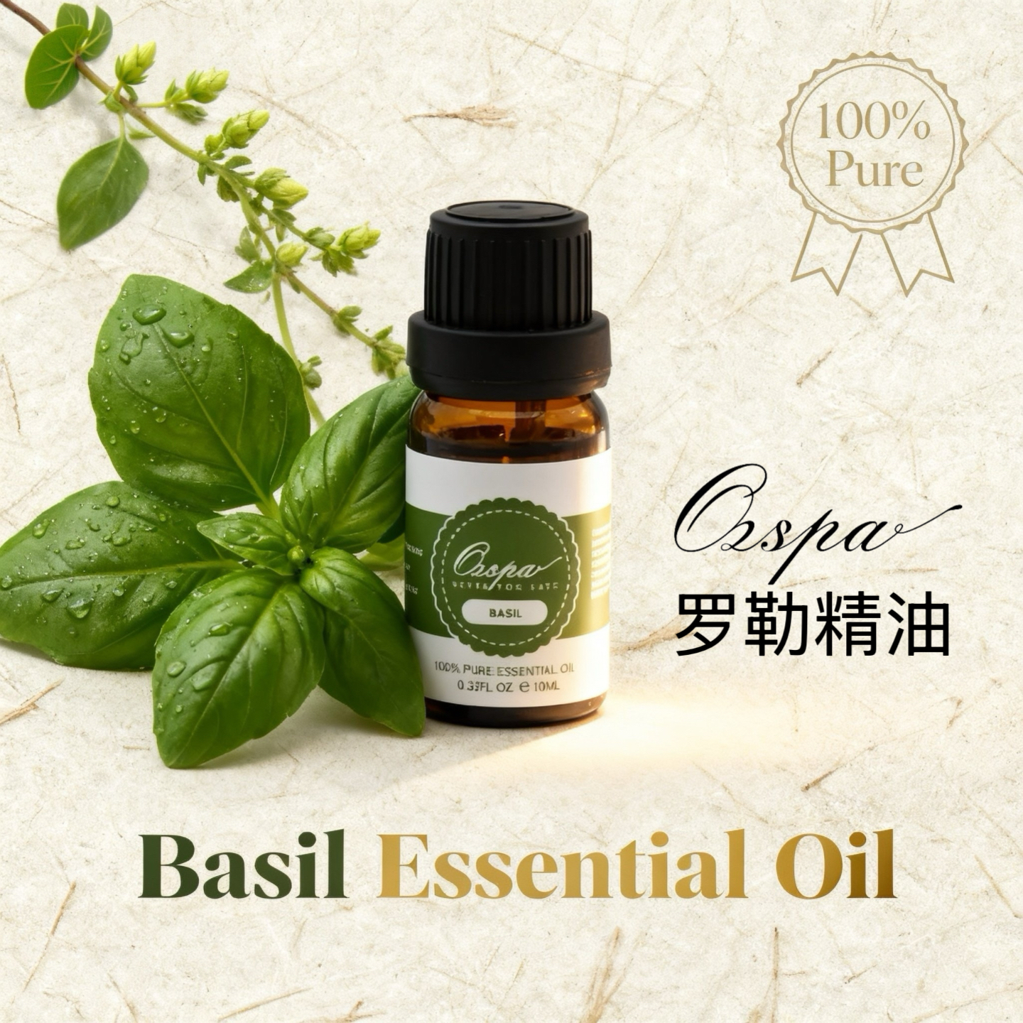 Ozspa法国罗勒植物萃取单方精油