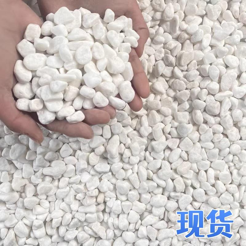 白石子铺地景观铺路大鹅卵石石子白色石子小白石头50斤装造景庭院