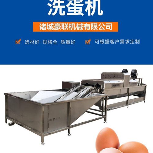 全自动洗蛋机 单排洗蛋机 自动上蛋 清洗 风干喷码 喷油 杀菌分级